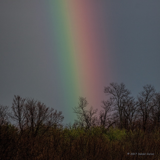 Rainbow colors in sky Picture